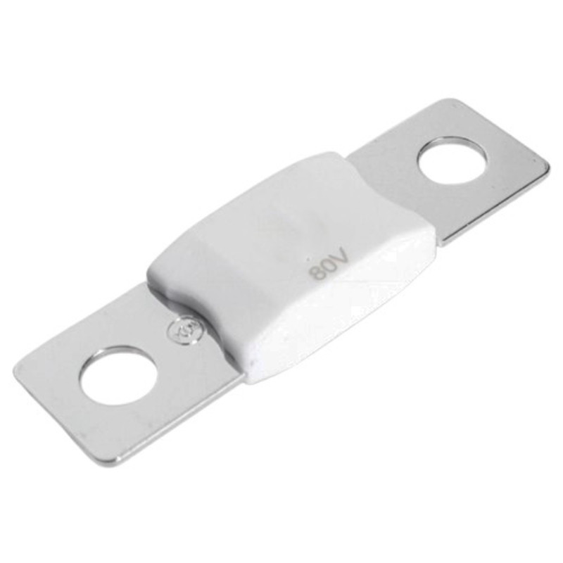 MEGA-fuse 100A/80V (package of 1 pcs)