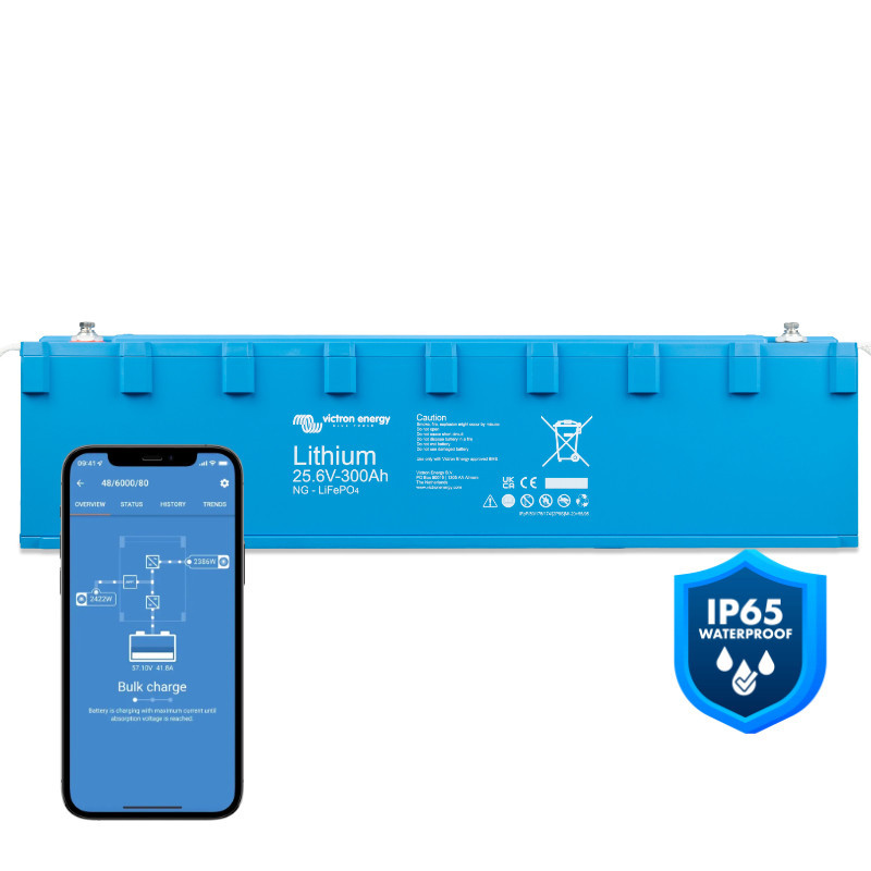 LiFePO4 Battery 25,6V/300Ah NG